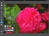 120204_annotation_05