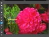 120204_annotation_06