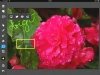 120204_annotation_07