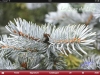 120204_annotation_14