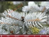 120204_annotation_18
