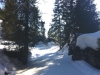 120315_Perdrix-02