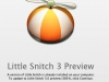 120803_01LittleSnitch03