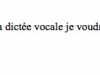 120805_Dictee_vocale04