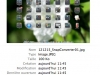 121215_SnapConverter04