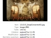 121215_SnapConverter06