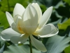 DSC01202