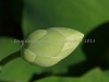 DSC01221