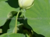 DSC01230
