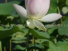 DSC01236