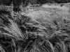 DSC01265