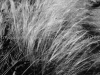 DSC01274
