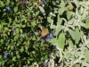 DSC01291