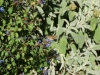 DSC01295