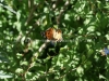DSC01306