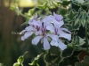 DSC01351