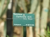 DSC01373