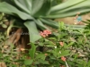 DSC01375