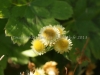 DSC01394