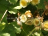 DSC01399