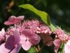 DSC01440