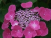 DSC01443