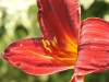 DSC01455