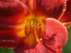 DSC01465