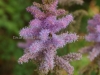 DSC01471