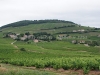 DSC01497_1