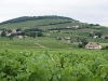 DSC01503_1