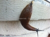 IMG_0426