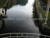 DSC01850