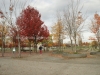 DSC01963