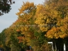 DSC02178