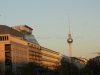 DSC02593_1