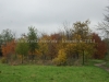 DSC02783
