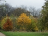 DSC02787