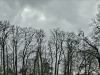 DSC02791_HDR