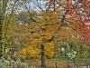 DSC02796_HDR