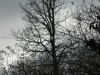DSC02822_1