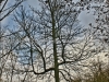 DSC02837HDR