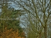 DSC02861_HDR