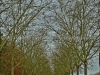 DSC02865_HDR