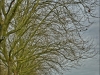 DSC02868_HDR