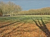 DSC02993_HDR