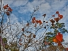 DSC02959_HDR