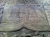 IMG_0952_1