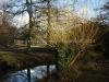 DSC03142_1