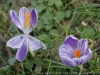 DSC03651